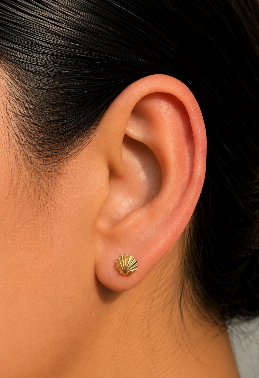 Golden Shell Stud - Shell Top / Gold PVD Flat Back Titanium