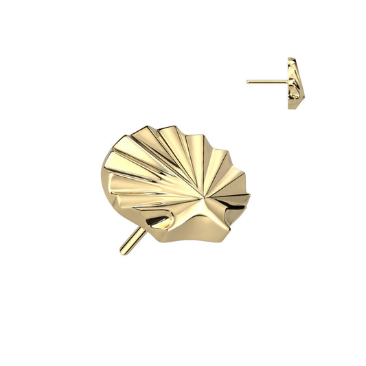 Soleil Shell