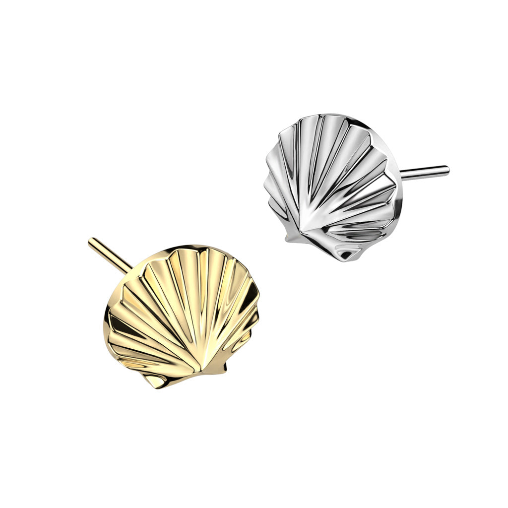 Soleil Shell